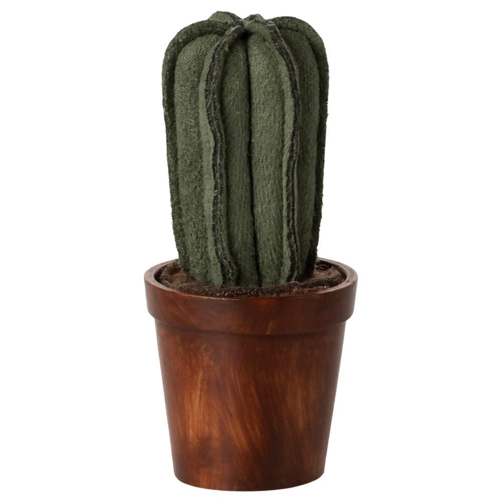 Miniatuur bloempot met cactus