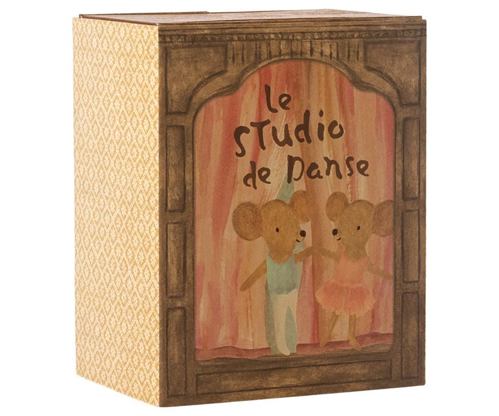 Balletmuizen in dansstudio