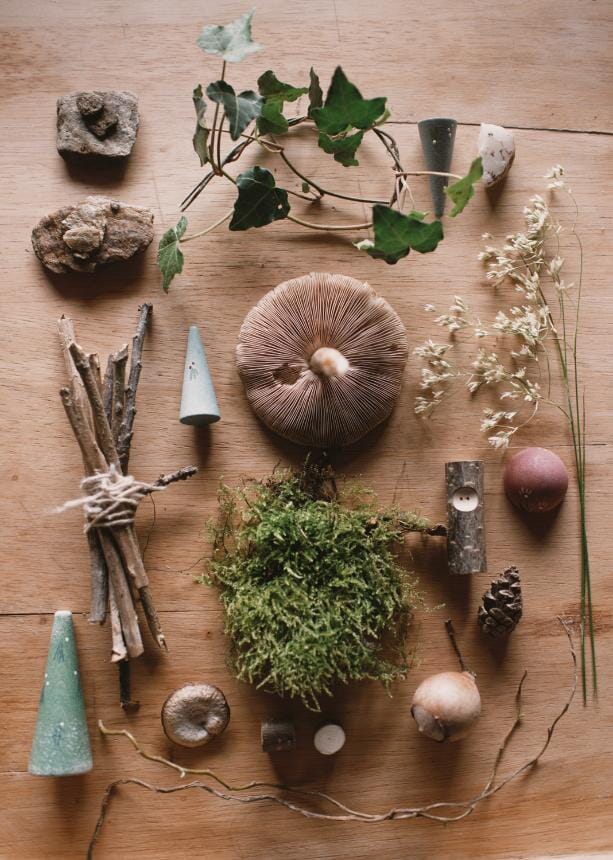 Adventskalender 2025 – Niederländisch – Grapat