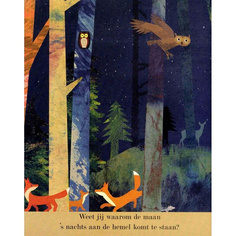 In de maneschijn - Britta Teckentrup - Veltman Uitgevers