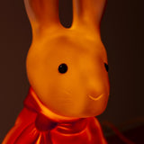 Nachtlampje Konijn Lenny